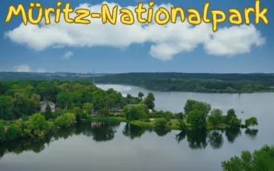 Müritz-Nationalpark: Hundefreundliches Naturparadies an der Mecklenburgischen Seenplatte