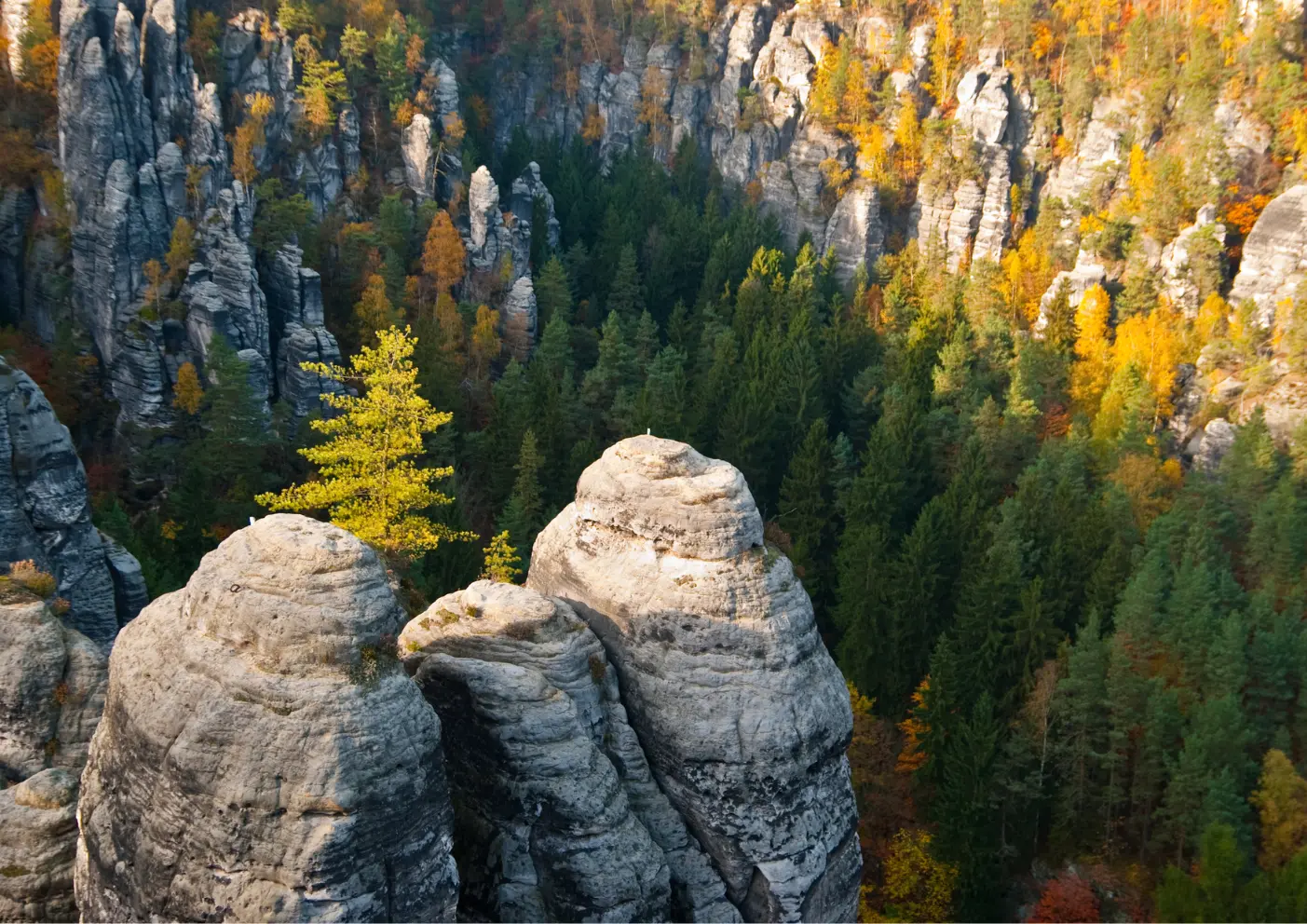 Sächsische Schweiz wandern: Felsenzauber & Naturwunder mit dem Hund 1 Sächsische Schweiz Wandern berge