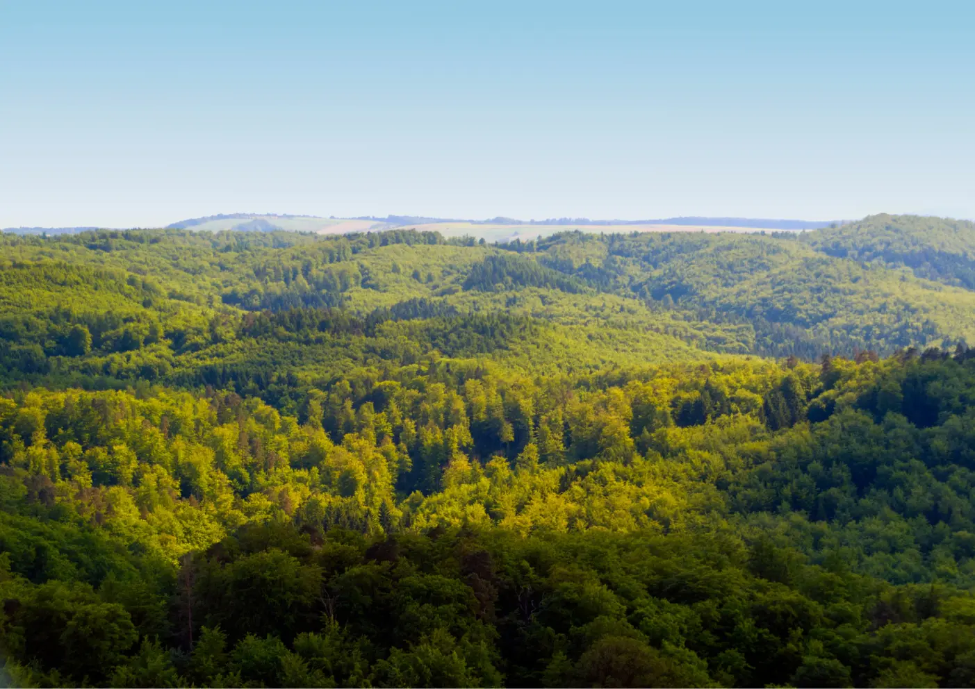 Urlaub in Thüringer Wald, wandern mit Hund, Traumhafte Routen, urige Hütten 1 Thüringer Wald blick