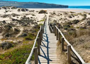 Sylt mit Hund: Der ultimative Guide für einen hundefreundlichen Urlaub 5 Sylt mit Hund strand