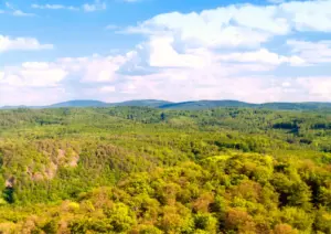 Thüringer Wald Aussicht 3