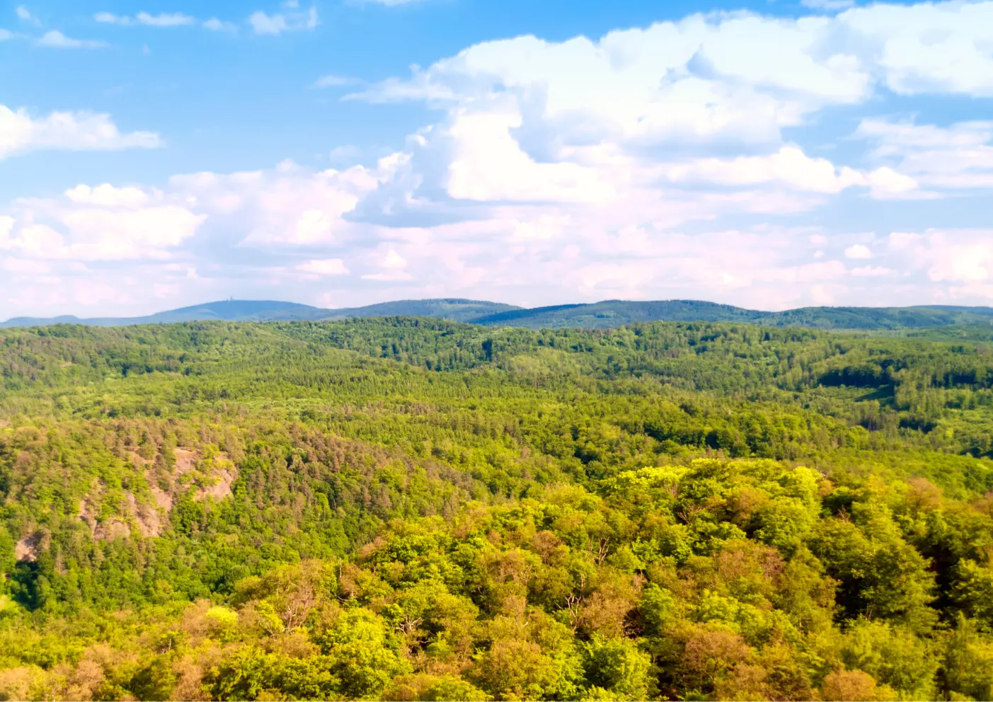 Urlaub in Thüringer Wald, wandern mit Hund, Traumhafte Routen, urige Hütten 2 Thüringer Wald Aussicht 3