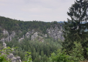 Elbsandsteingebirge wandern Wald