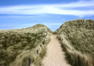 Sylt mit Hund: Der ultimative Guide für einen hundefreundlichen Urlaub 4 Sylt mit Hund natur