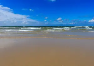 Sylt mit Hund: Der ultimative Guide für einen hundefreundlichen Urlaub 2 Sylt mit Hund strand