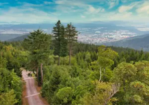 Thüringer Wald Aussicht