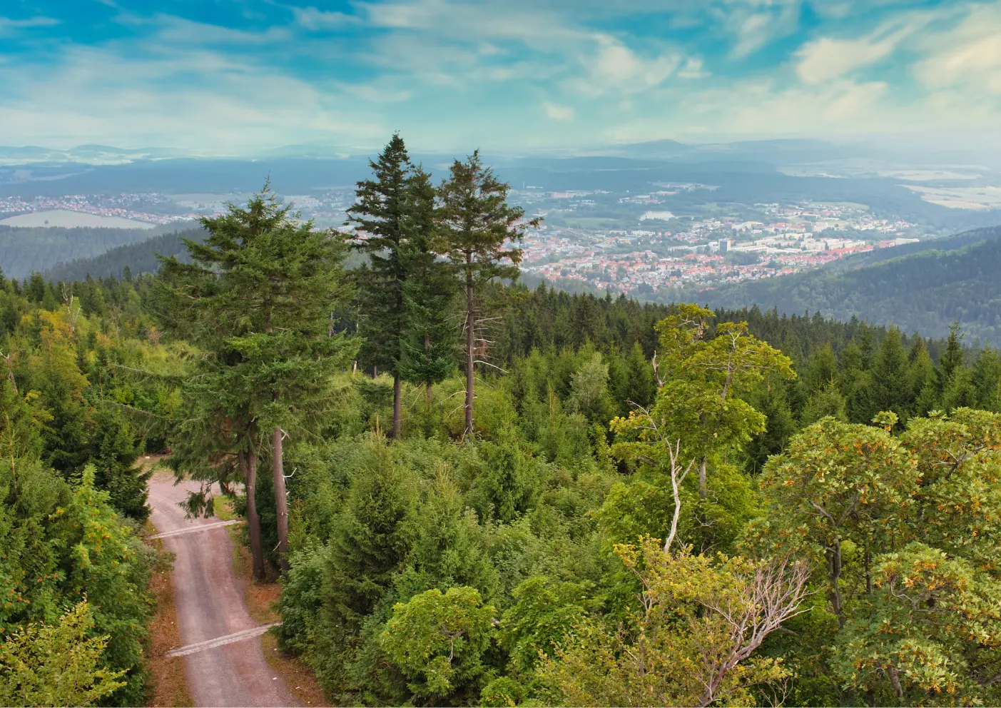Urlaub in Thüringer Wald, wandern mit Hund, Traumhafte Routen, urige Hütten 4 Thüringer Wald Aussicht