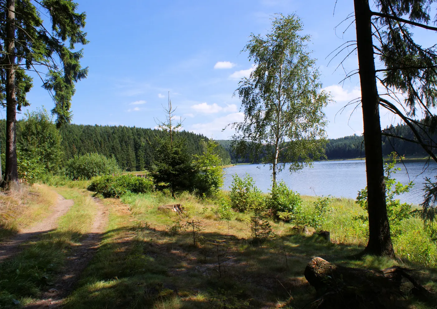 Erzgebirge wandern: Naturjuwel Sachsens mit dem Hund entdecken 5 7 2