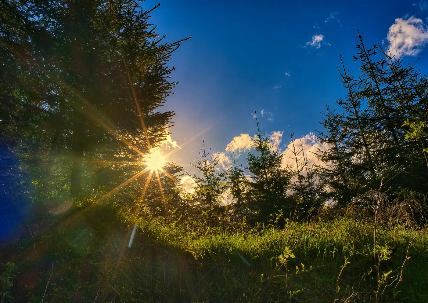 Urlaub in Thüringer Wald, wandern mit Hund, Traumhafte Routen, urige Hütten 7 Thüringer Wald Sonnenuntergang