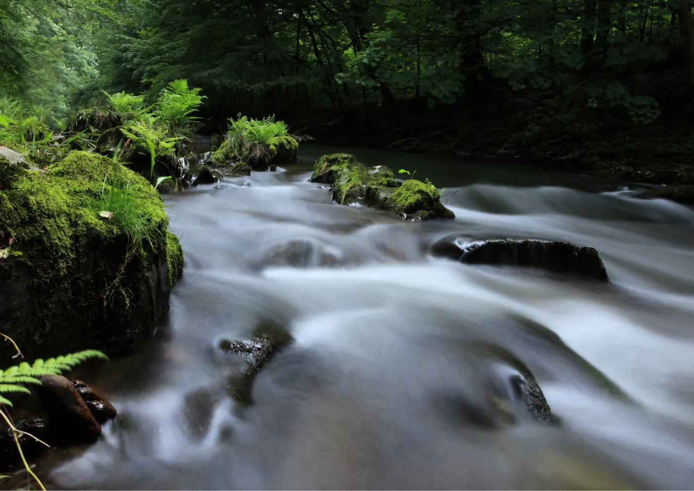 Urlaub in Thüringer Wald, wandern mit Hund, Traumhafte Routen, urige Hütten 8 Thüringer Wald wandern