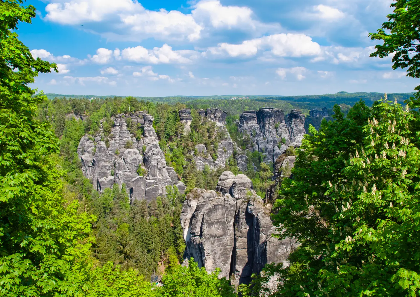 Sächsische Schweiz wandern: Felsenzauber & Naturwunder mit dem Hund 9 9