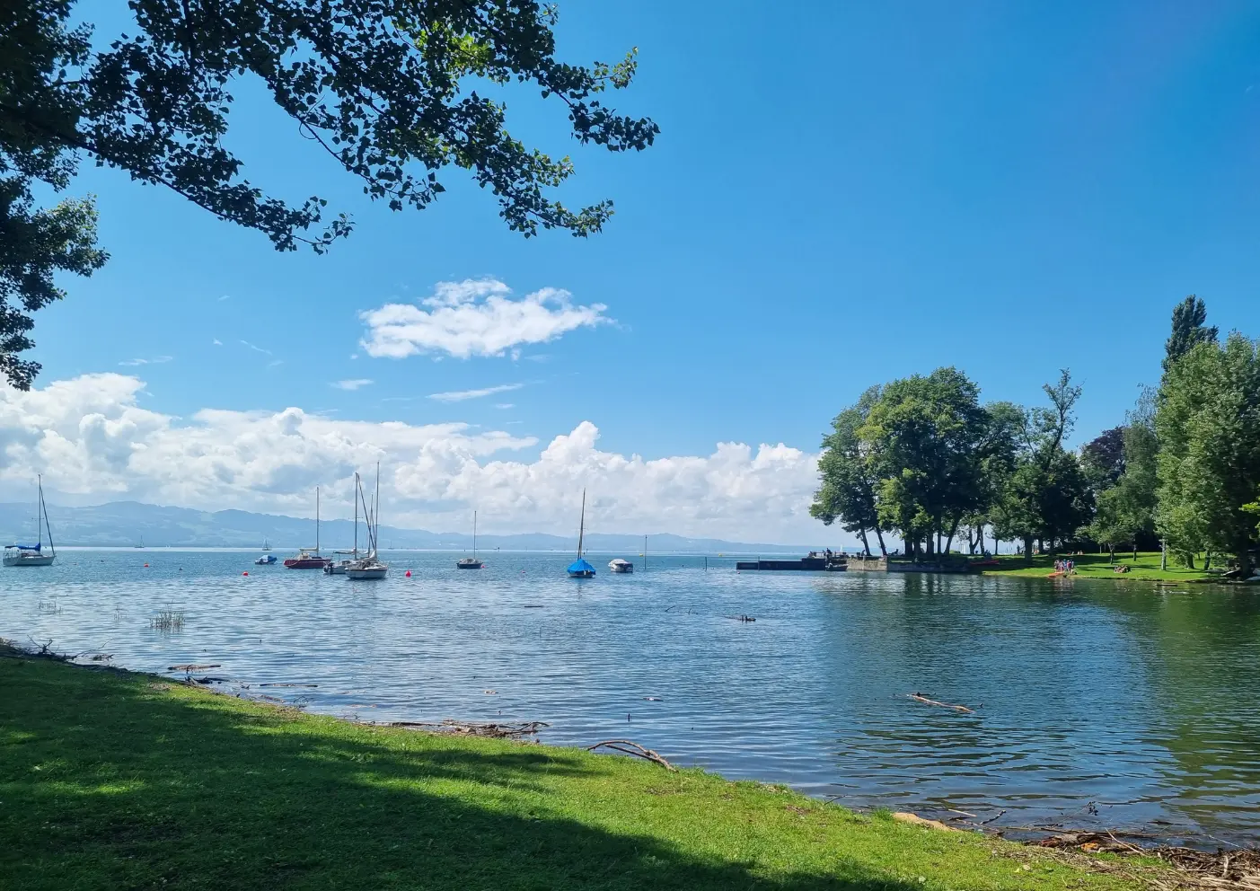 Bodensee mit Hund: Ihr Natur- und Aktivurlaub mit dem besten Freund 4 Bodensee mit Hund constance