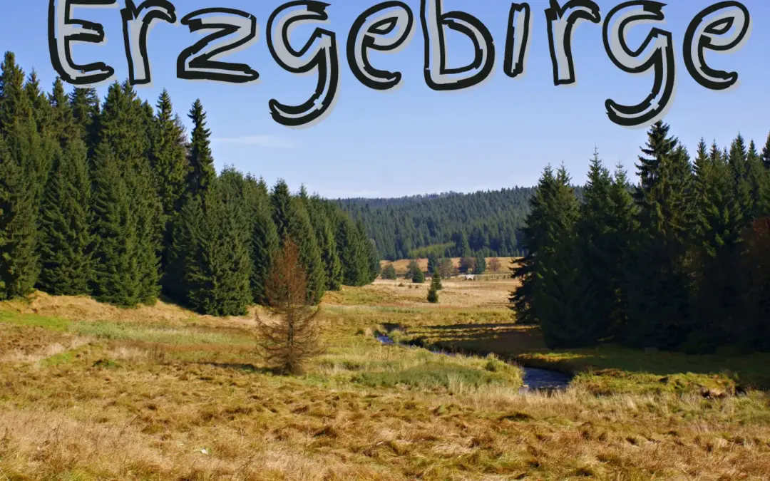 Erzgebirge wandern: Naturjuwel Sachsens mit dem Hund entdecken