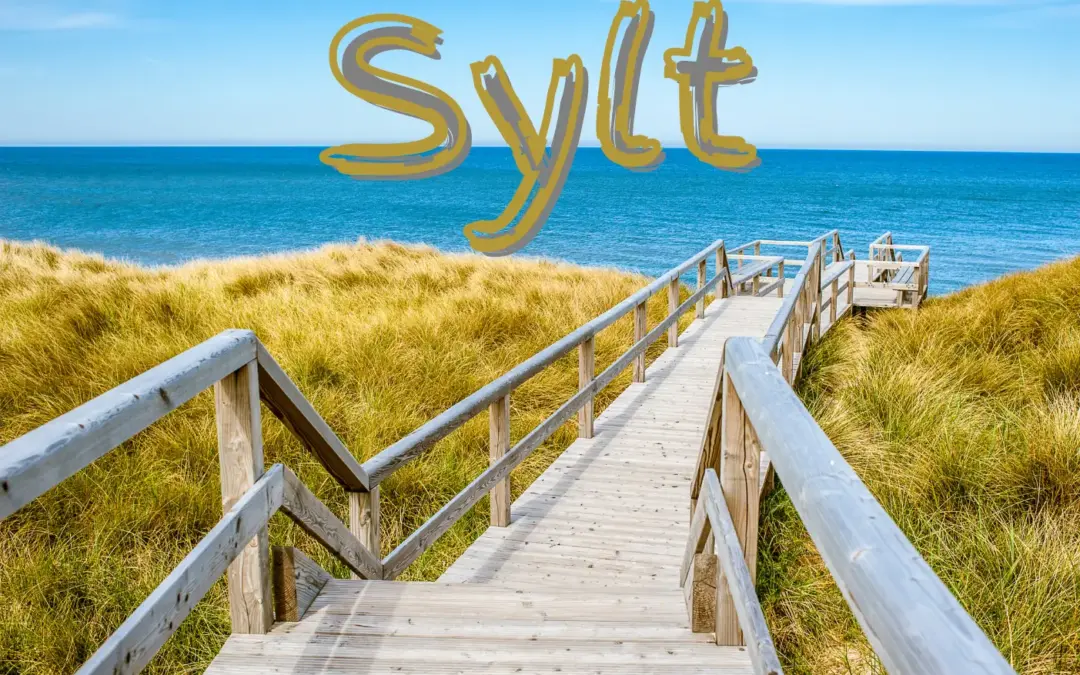 Sylt mit Hund: Der ultimative Guide für einen hundefreundlichen Urlaub