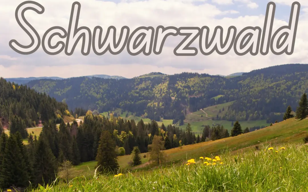 Schwarzwald mit Hund: Ihr Naturerlebnis mit dem besten Freund