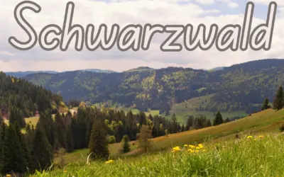 Schwarzwald mit Hund: Ihr Naturerlebnis mit dem besten Freund