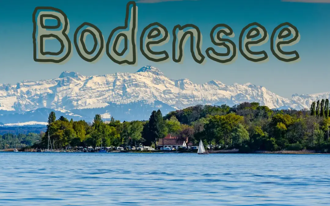 Bodensee mit Hund: Ihr Natur- und Aktivurlaub mit dem besten Freund