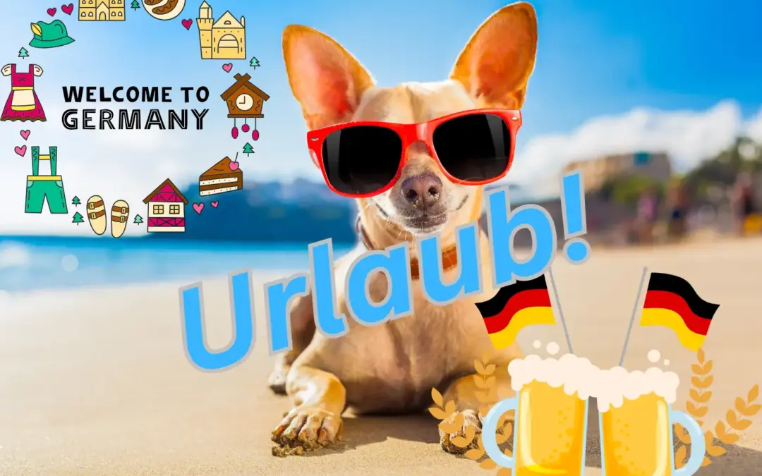 Urlaub mit Hund: In 5 Minuten zum perfekten Reiseziel für Sie und Ihren Vierbeiner