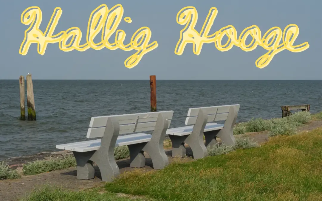 Hallig Hooge: Urlaub mit Hund auf der autofreien Nordseeinsel – Ihr Inselglück am Wattenmeer