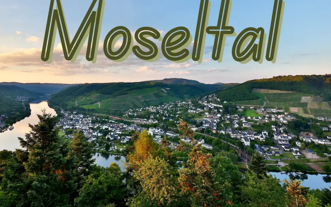 Mosel Urlaub mit Hund: Das ultimative Urlaubserlebnis für Zwei- und Vierbeiner