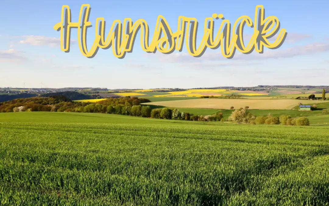 Hunsrück mit Hund: Ihr Naturerlebnis mit dem besten Freund