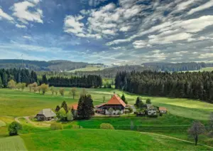 Schwarzwald mit Hund ein Dorf