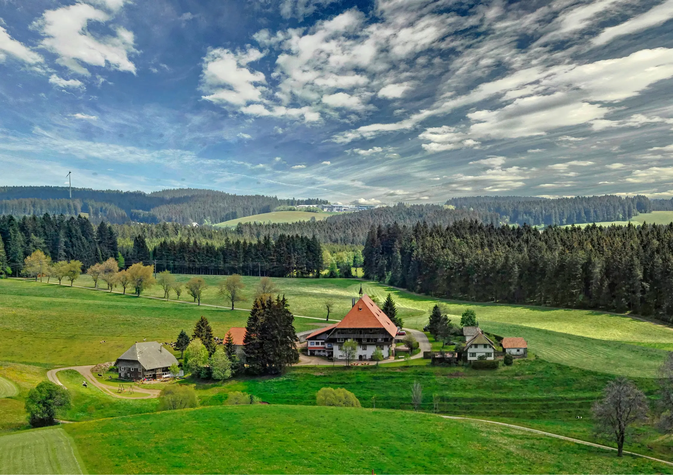 Schwarzwald mit Hund: Ihr Naturerlebnis mit dem besten Freund 4 Schwarzwald mit Hund ein Dorf