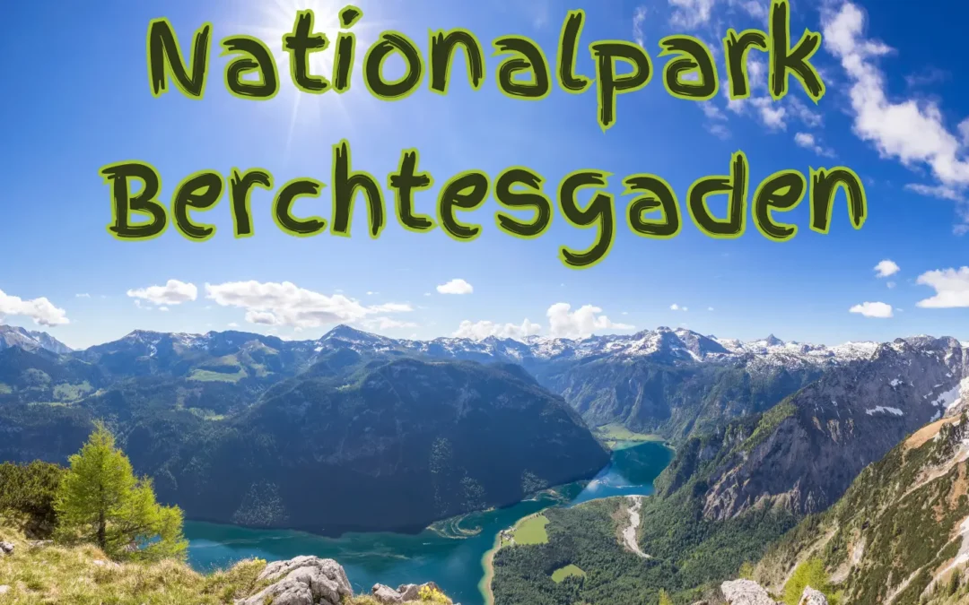 Nationalpark Berchtesgaden: Wandern mit Hund im Einklang mit der Natur