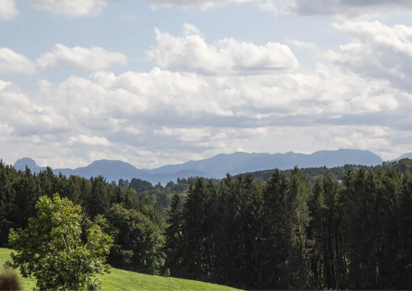 Das Alpenvorland: Wandern mit Hund im Paradies der sanften Hügel 2 Alpenvorland blick