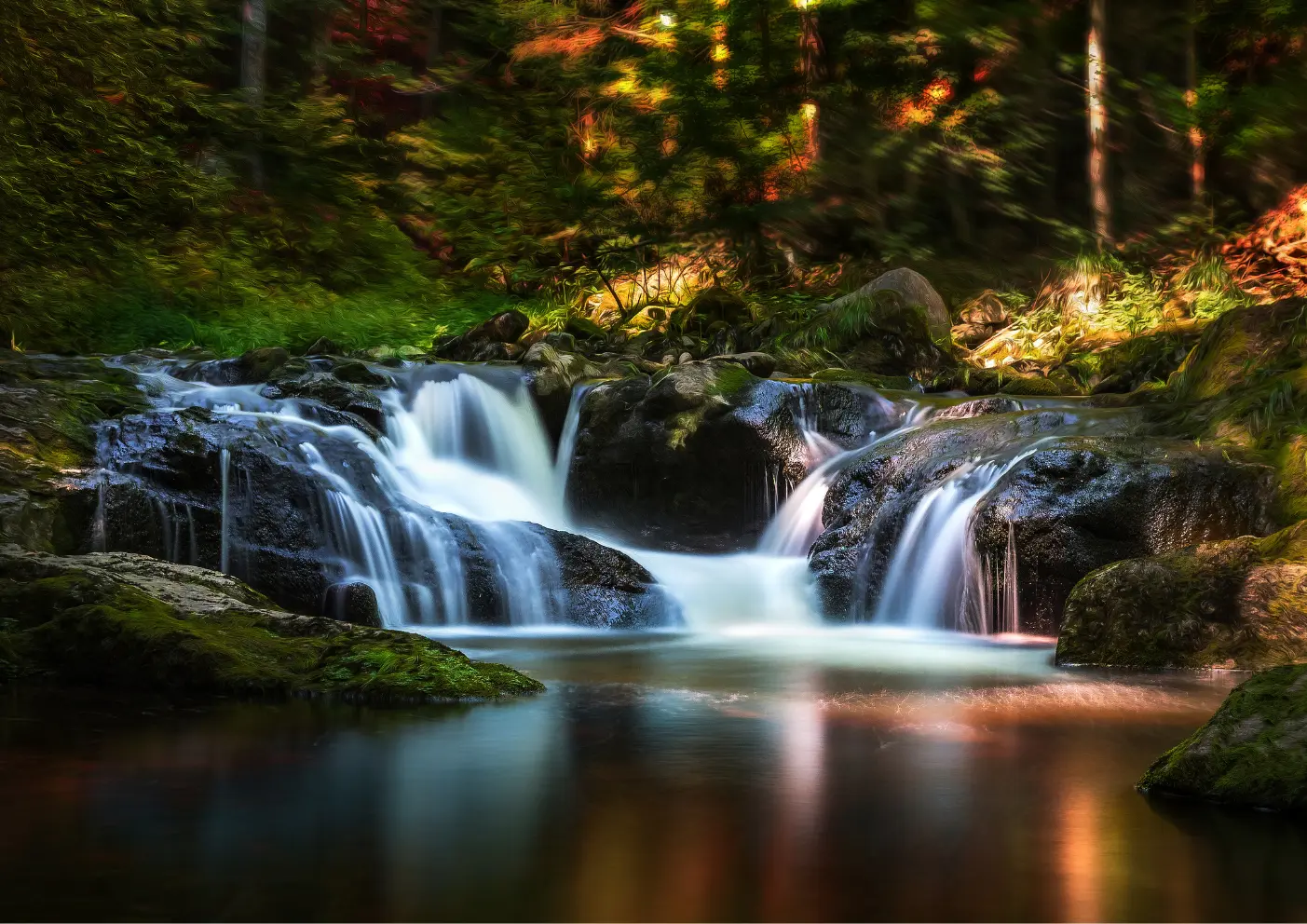 Urlaub mit Hund im Bayerischen Wald: Ein Paradies für Zwei- und Vierbeiner 1 Seen in Bayerischen Wald
