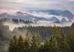 Alpenvorland Luftblick