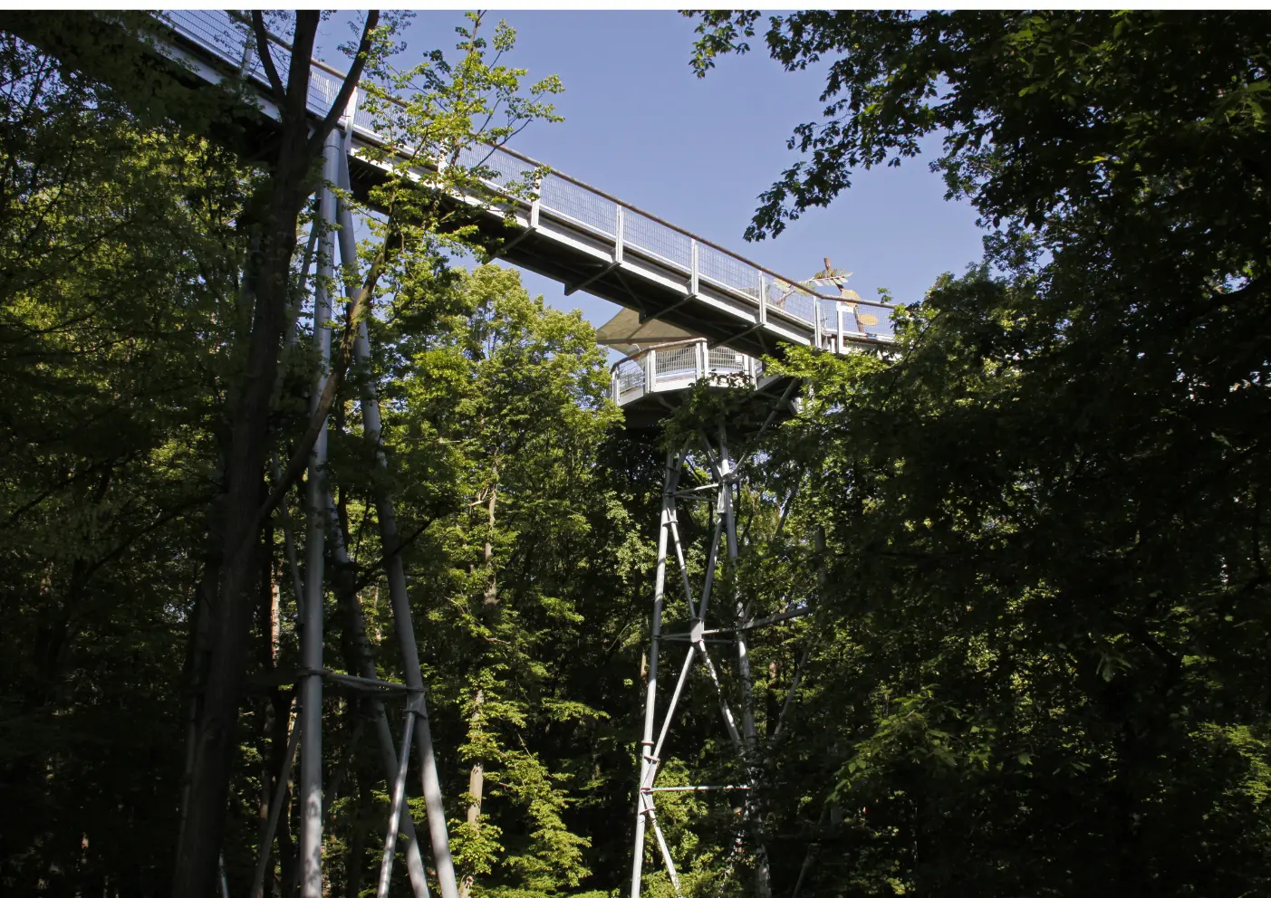 Nationalpark Hainich: Wandern mit Hund durch einen einzigartigen Buchenwald 5 Nationalpark Hainich Brücke