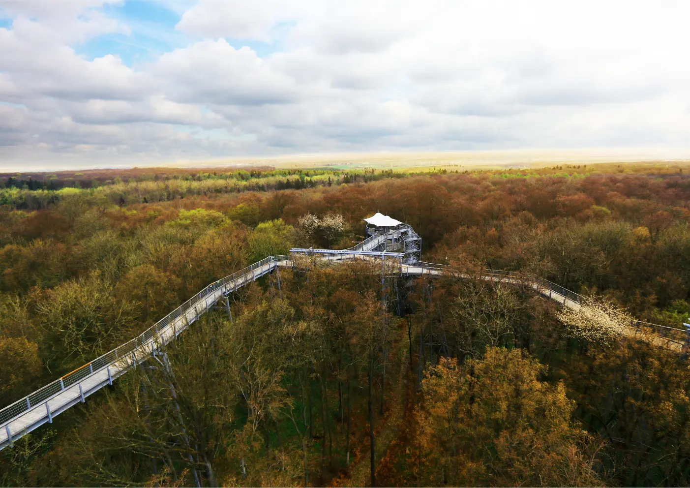 Nationalpark Hainich: Wandern mit Hund durch einen einzigartigen Buchenwald 2 6 1