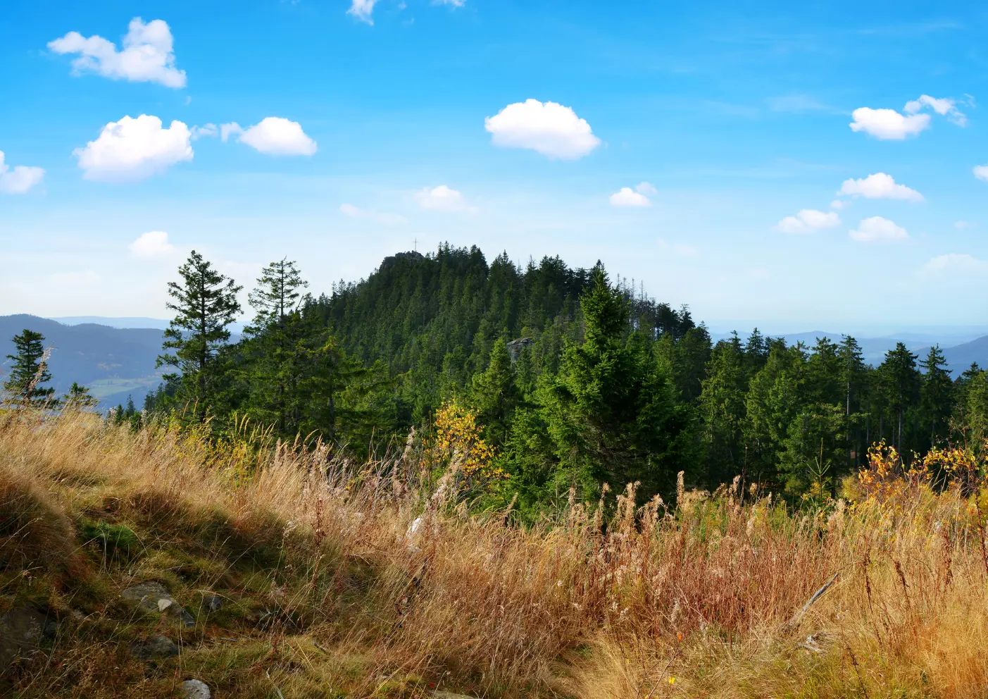 Urlaub mit Hund im Bayerischen Wald: Ein Paradies für Zwei- und Vierbeiner 3 Berge in Bayerischen Wald