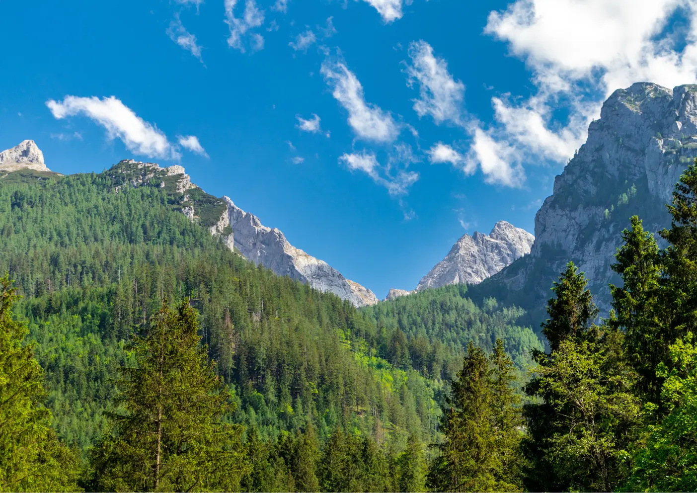 Das Alpenvorland: Wandern mit Hund im Paradies der sanften Hügel 1 Alpenvorland blick