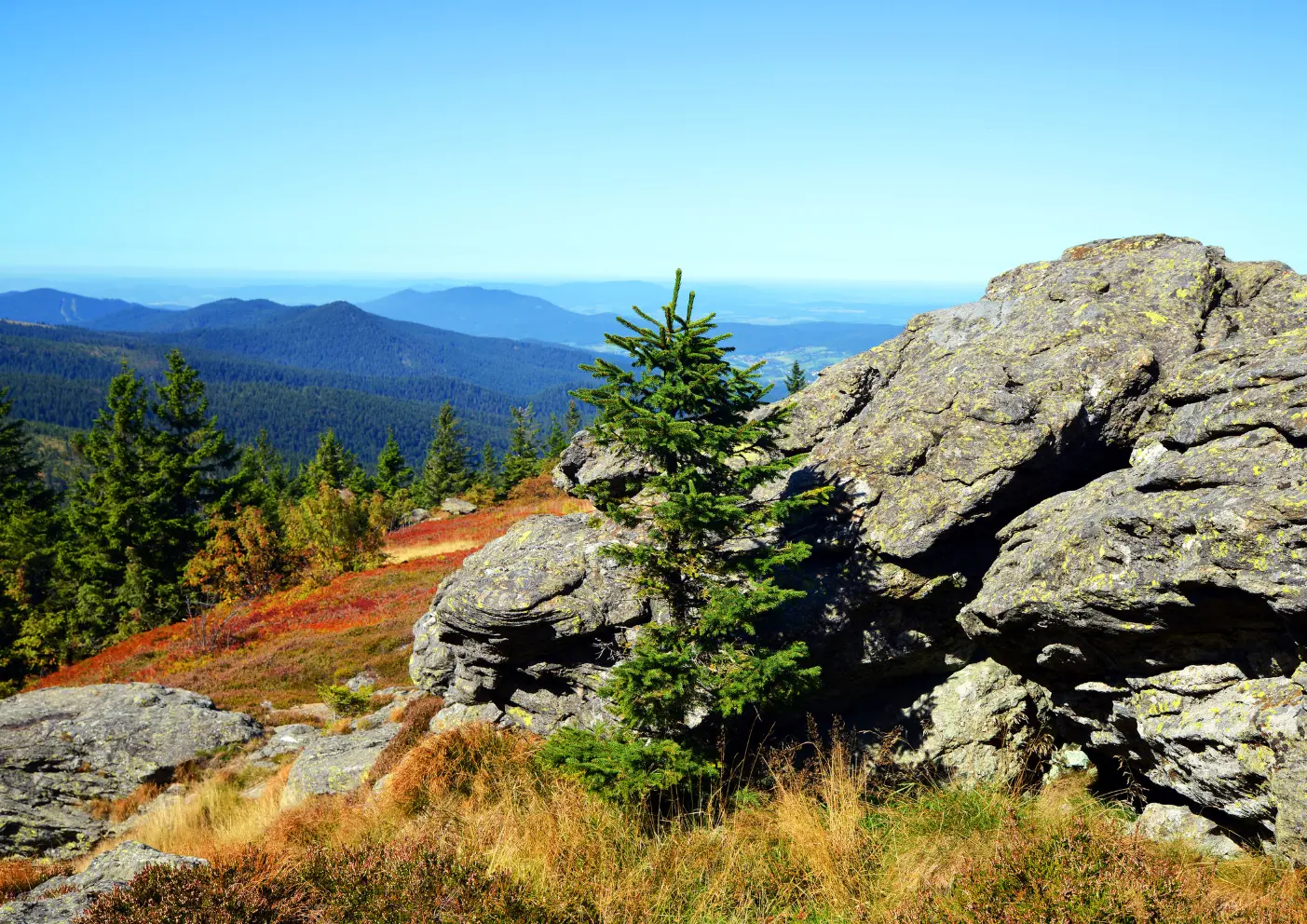 Urlaub mit Hund im Bayerischen Wald: Ein Paradies für Zwei- und Vierbeiner 7 Weitblick in Bayerischen Wald
