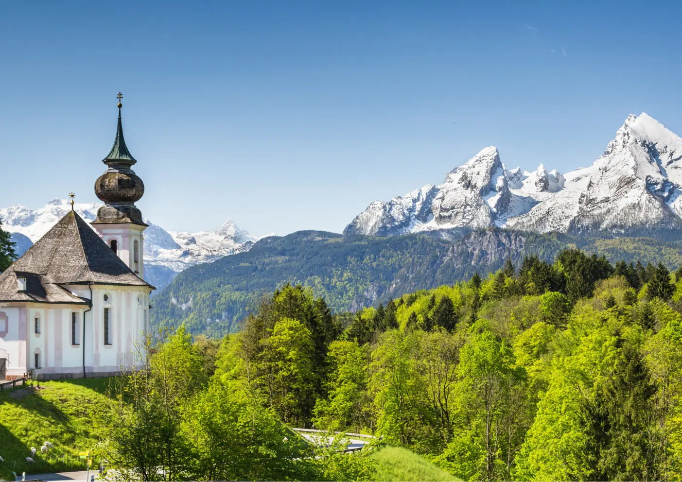 Nationalpark Berchtesgaden: Wandern mit Hund im Einklang mit der Natur 8 Nationalpark Berchtesgaden Weitblick