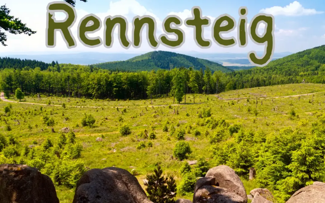 Wandern im Rennsteig: Ein unvergessliches Wandererlebnis für Sie und Ihren Hund