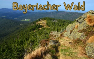 Blog 1 Urlaub mit Hund im Bayerischen Wald: Ein Paradies für Zwei- und Vierbeiner