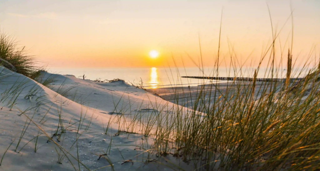 Perfekter Ostsee Urlaub mit Hund: Die besten Tipps und Tricks 4 Sanddünen mit Gräsern am Ostseestrand bei Sonnenuntergang, eine malerische Kulisse für ausgedehnte Spaziergänge mit dem Hund.