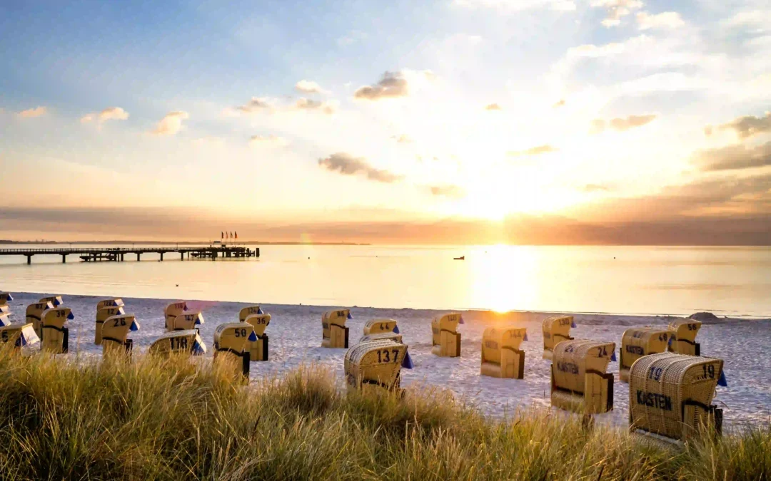 Perfekter Ostsee Urlaub mit Hund: Die besten Tipps und Tricks