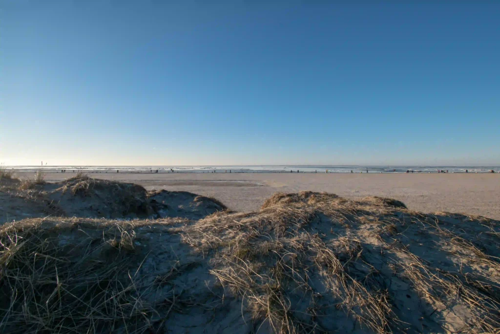 Norddeich mit Hund: Perfekter Nordsee-Urlaub mit Vierbeiner 6 Eine weite Dünenlandschaft am Strand von Norddeich unter strahlend blauem Himmel, mit Blick auf das Meer im Hintergrund. Ein Paradies für Hunde und ihre Besitzer in Norddeich.