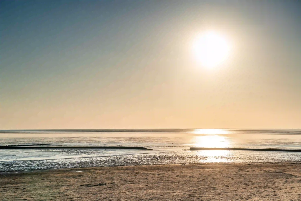 Norddeich mit Hund: Perfekter Nordsee-Urlaub mit Vierbeiner 2 Die Weite des Wattenmeeres bei Norddeich im warmen Licht der tiefstehenden Sonne, die sich im Wasser spiegelt – ein wunderschöner Anblick für Mensch und Hund.