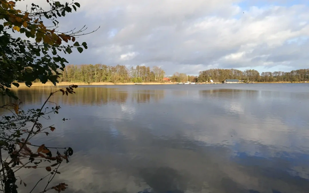 Entspannter Urlaub Ferien mit Hund Plau am See entdecken
