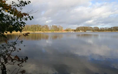 Blog 4 Entspannter Urlaub Ferien mit Hund Plau am See entdecken