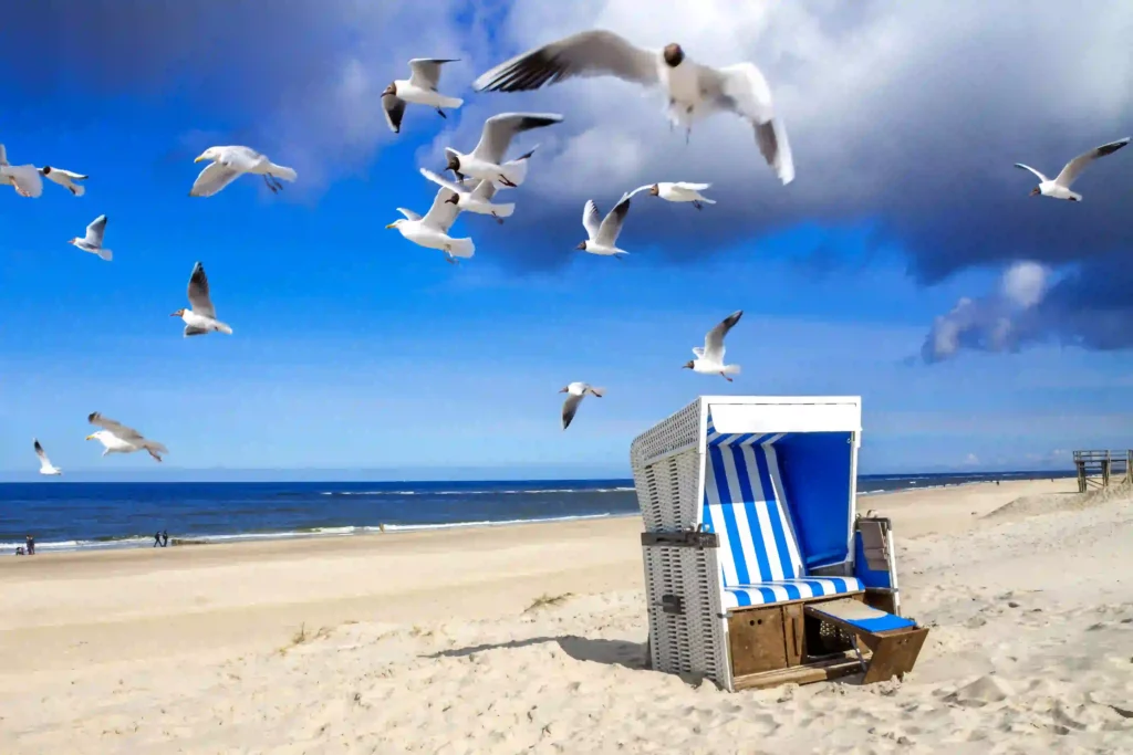 Sylt mit Hund: Dein ultimativer Guide für den perfekten Inselurlaub 4 Einzelner Strandkorb am Sandstrand von Sylt mit vielen fliegenden Möwen und dem Meer im Hintergrund – ein friedlicher Ort für Erholung auf Sylt mit Hund.