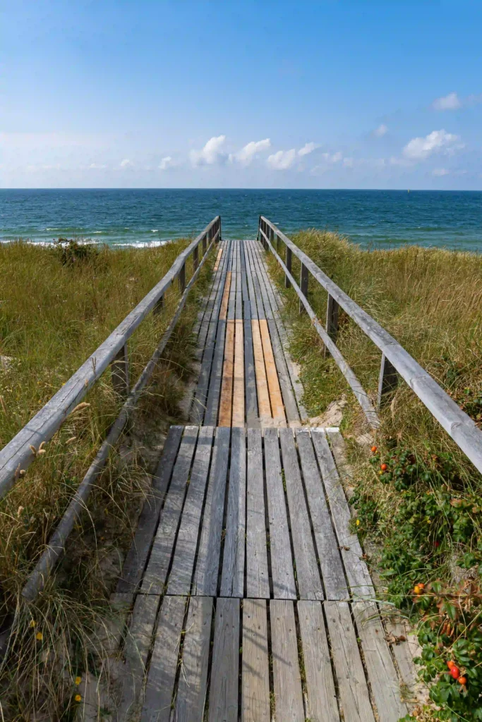 Sylt mit Hund: Dein ultimativer Guide für den perfekten Inselurlaub 6 Langer Holzsteg, der durch Dünen zum Meer führt, unter einem klaren blauen Himmel auf Sylt – der perfekte Weg zum Strand für Spaziergänge auf Sylt mit Hund.