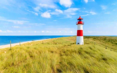 Blog 3 Sylt mit Hund: Dein ultimativer Guide für den perfekten Inselurlaub