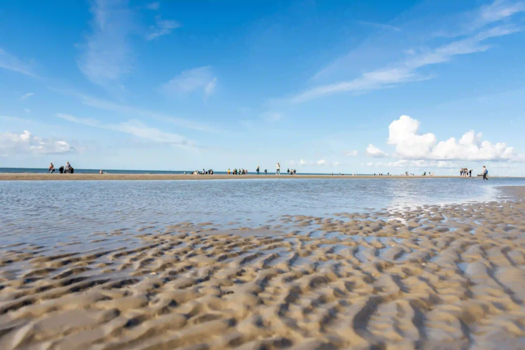 Urlaub mit Hund in St. Peter-Ording: Dein kompletter Guide für entspannte Ferien 3 Weite Wattlandschaft bei Ebbe mit Menschen am Horizont in St. Peter-Ording.