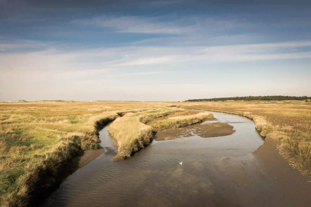 Urlaub mit Hund in St. Peter-Ording: Dein kompletter Guide für entspannte Ferien 6 Eine idyllische Flusslandschaft mit weiten Wiesen bei St. Peter-Ording.